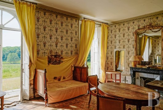 chateaux a vendre bourgogne   - 4
