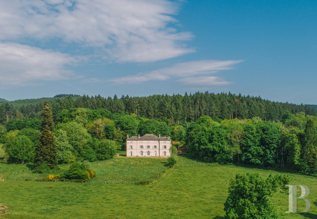 chateaux a vendre bourgogne   - 1