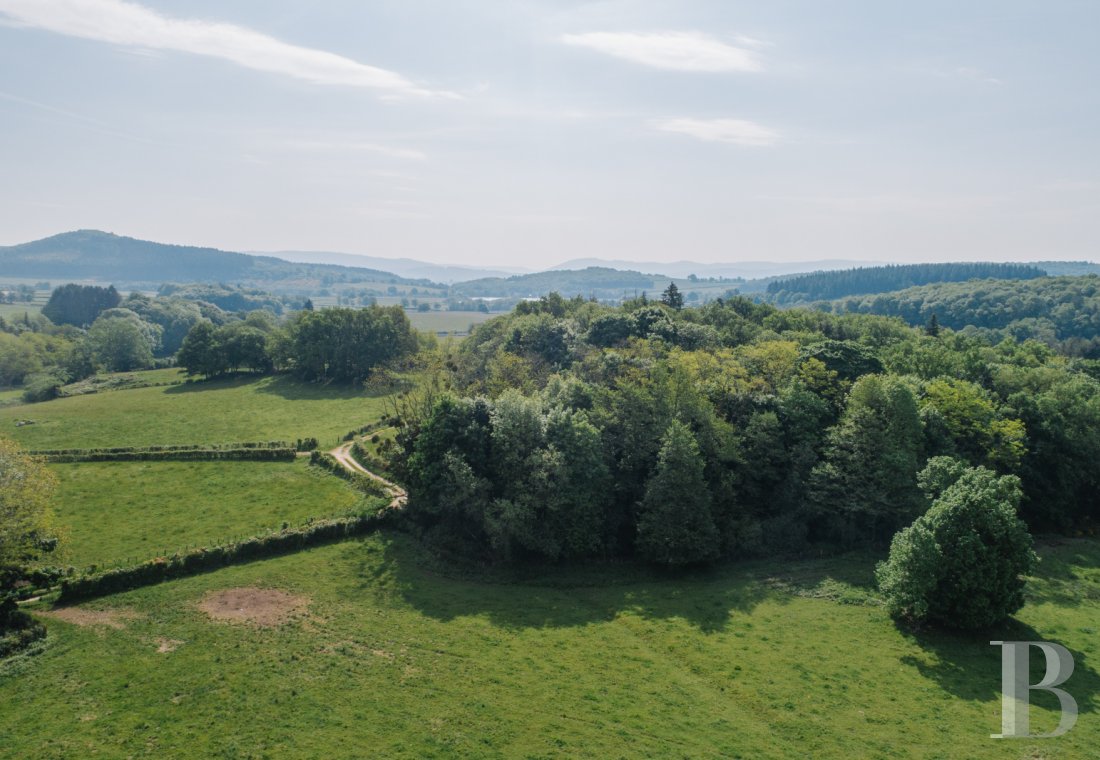 chateaux a vendre bourgogne   - 30