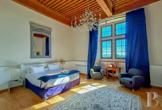 chateaux a vendre rhones alpes   - 9