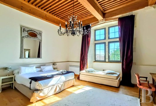 chateaux a vendre rhones alpes   - 6