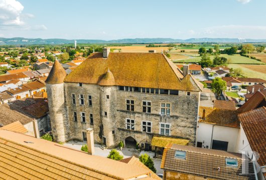 rhones-alpes - Dans un village médiéval de la campagne lyonnaise, un château Renaissance de 1 500 m²,  partiellement inscrit MH et aménagé en hôtel, ses dépendances et son jardin