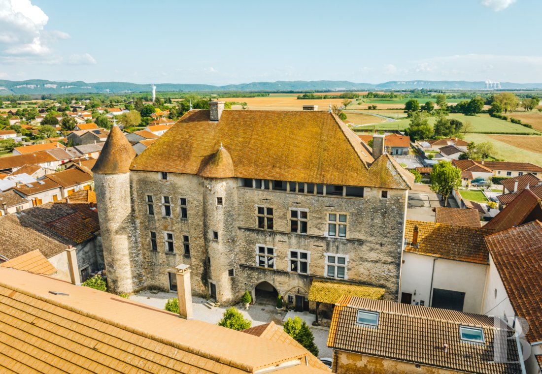 chateaux a vendre rhones alpes   - 1