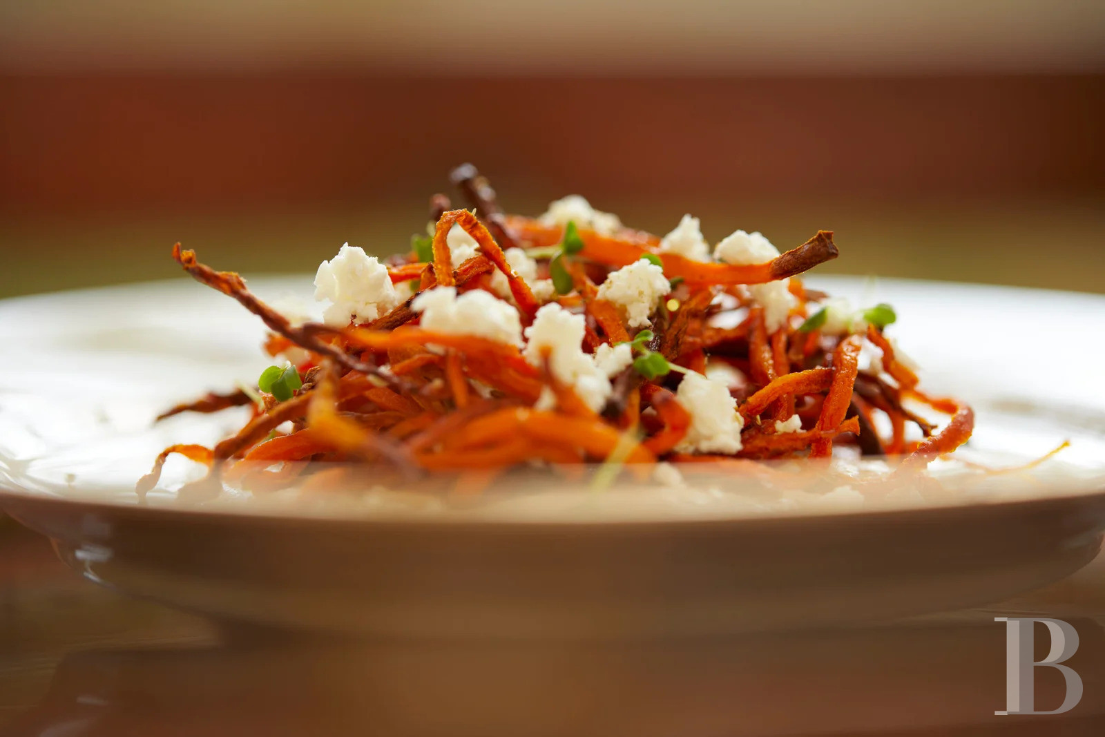 Two villas surrounded by water and greenery, North-West of Milan - photo  n°25