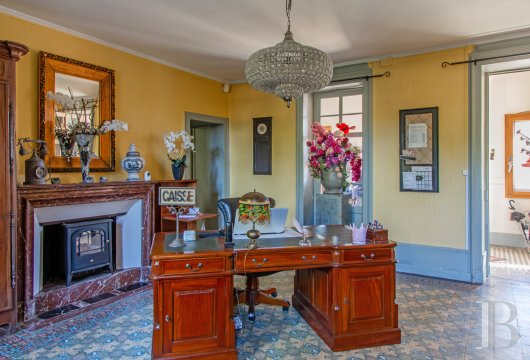 chateaux for sale France burgundy   - 7