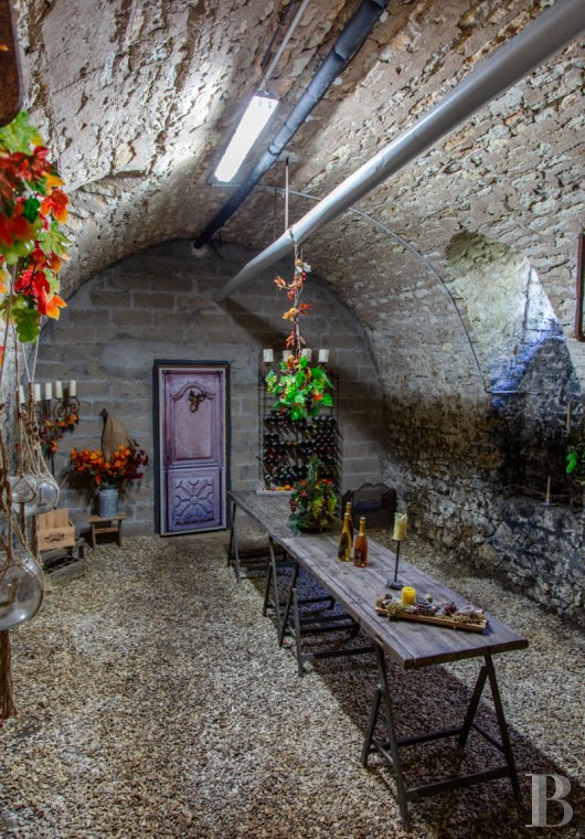 chateaux for sale France burgundy   - 10