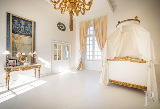 chateaux a vendre midi pyrenees   - 18