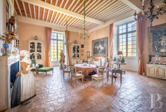 chateaux a vendre midi pyrenees   - 9