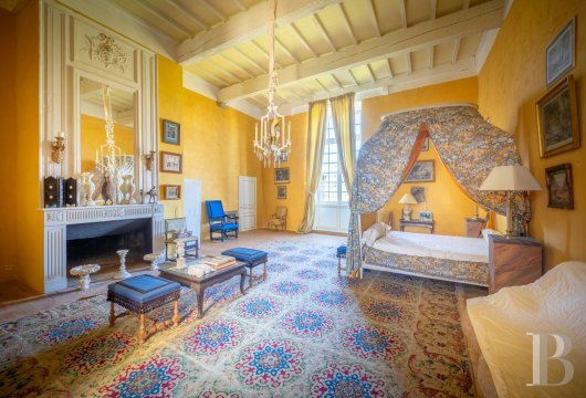 chateaux a vendre midi pyrenees   - 15