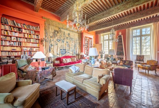 chateaux a vendre midi pyrenees   - 14