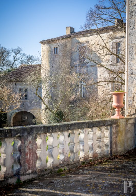 chateaux a vendre midi pyrenees   - 20