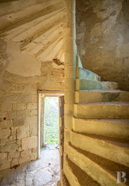 chateaux a vendre midi pyrenees   - 19
