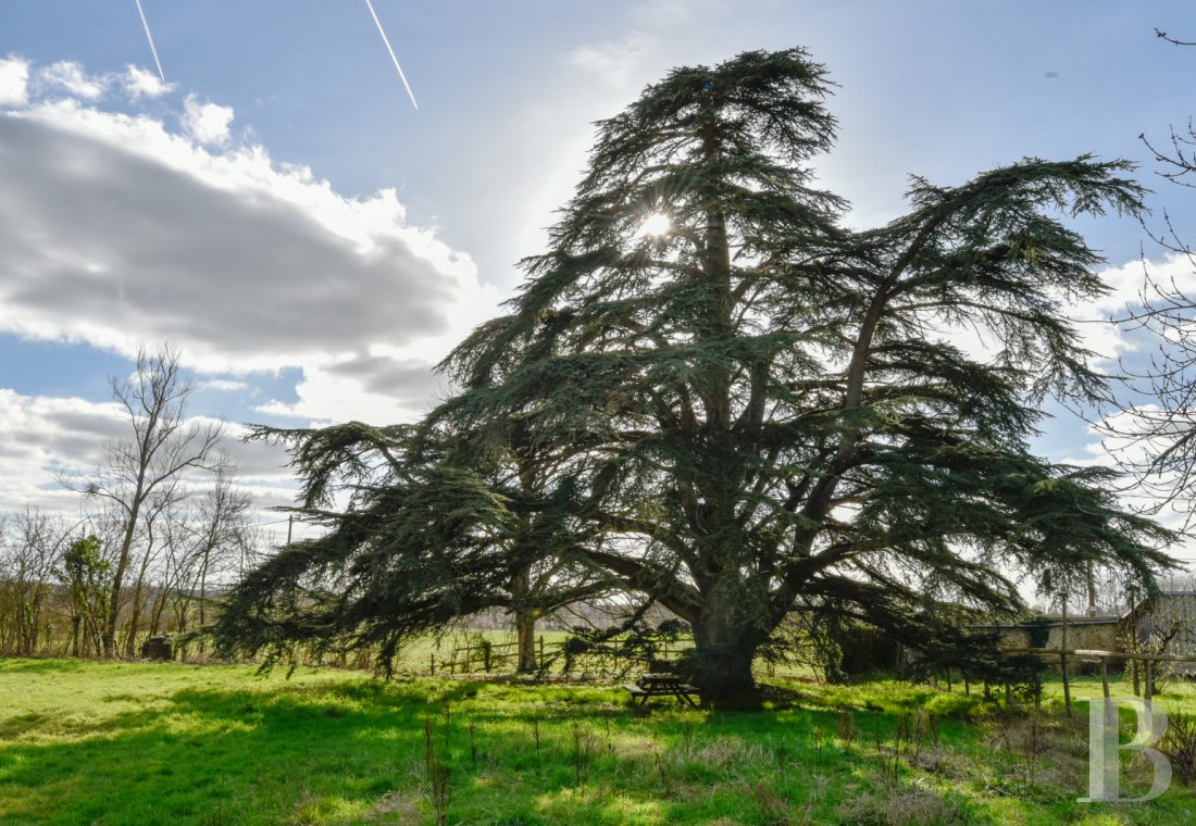 Château · Valençay