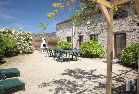 chateaux for sale France pays de loire   - 8