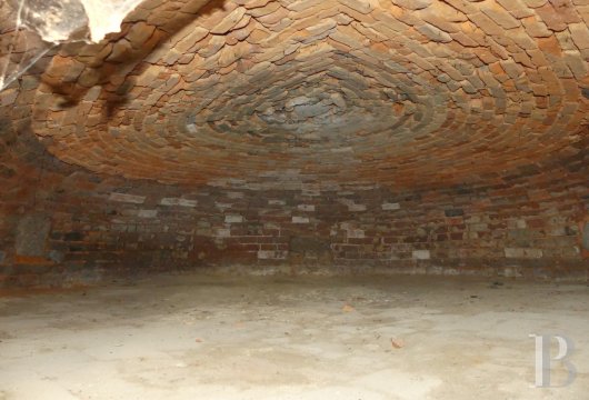 chateaux for sale France pays de loire   - 10