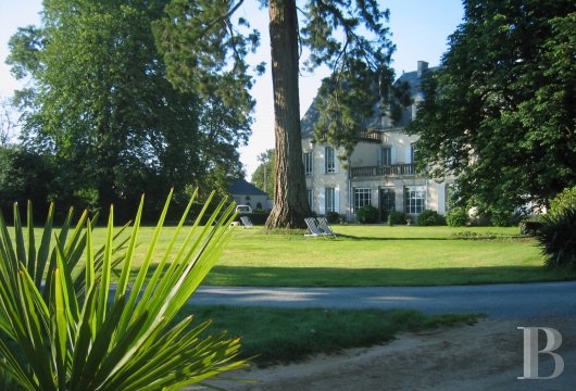 chateaux for sale France pays de loire   - 11