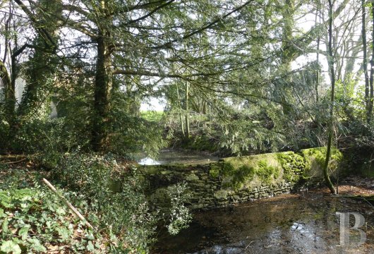 chateaux for sale France pays de loire   - 9