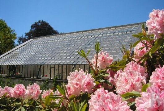 chateaux for sale France pays de loire   - 12