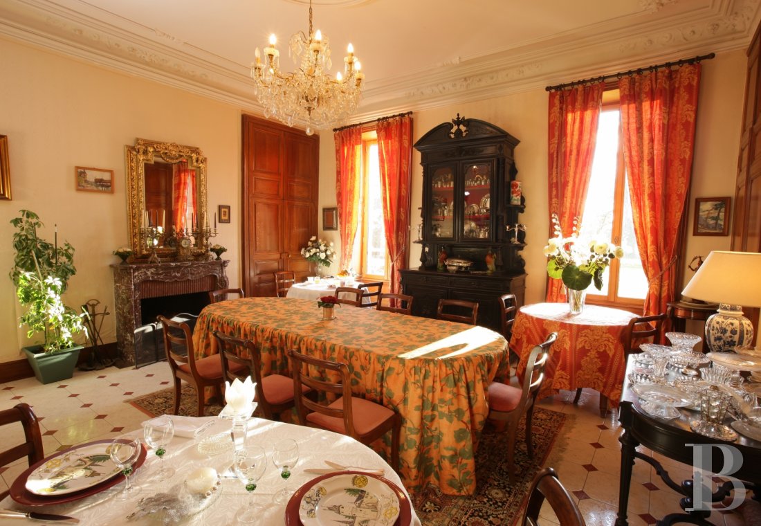 chateaux for sale France pays de loire   - 6