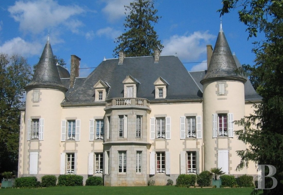 chateaux for sale France pays de loire   - 1