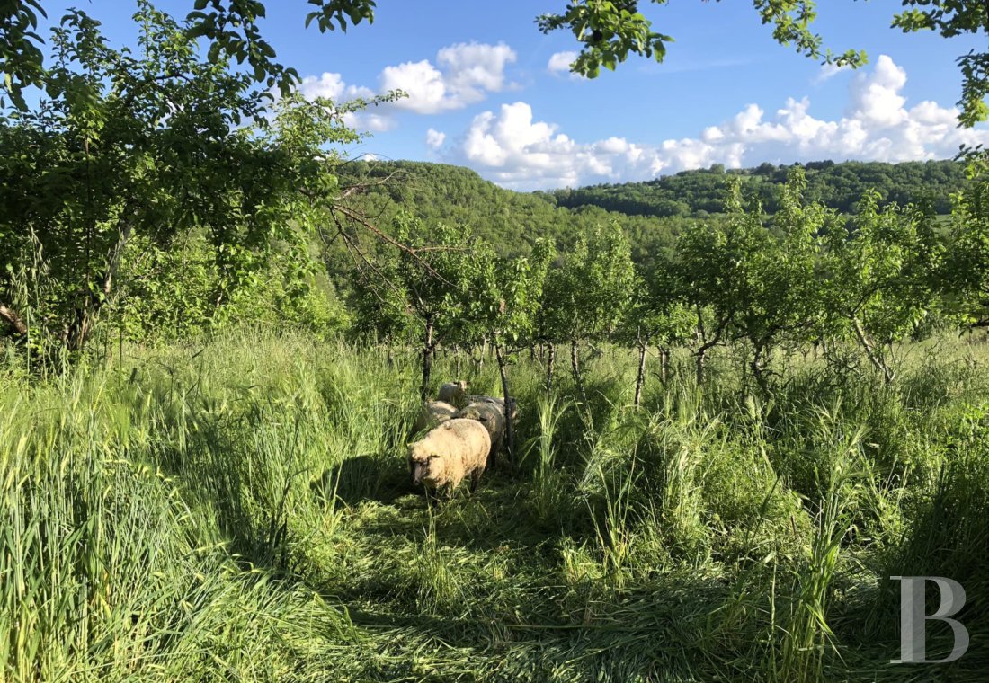 Dans le Lot-et-Garonne, au nord-ouest d’Agen, une ancienne métairie du 18e convertie en lieu de vie et de villégiature - photo  n°6