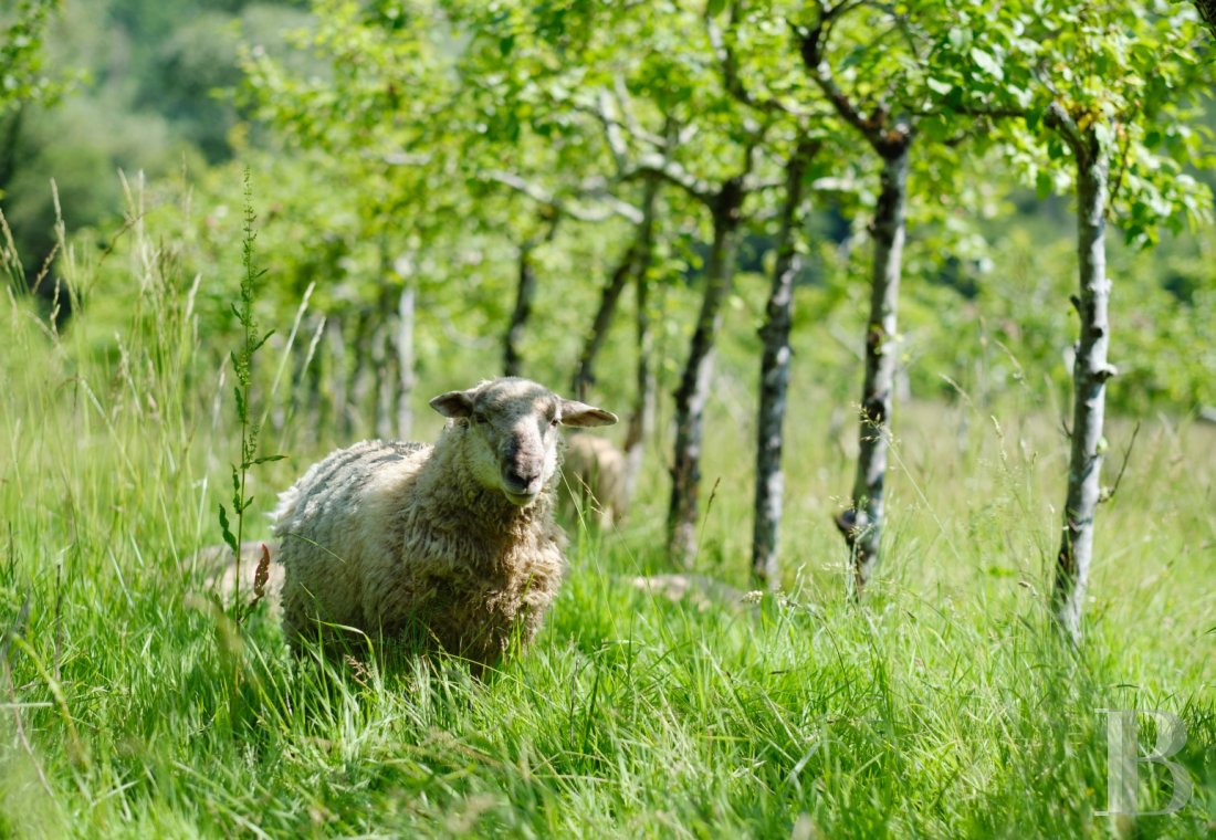 Dans le Lot-et-Garonne, au nord-ouest d’Agen, une ancienne métairie du 18e convertie en lieu de vie et de villégiature - photo  n°31