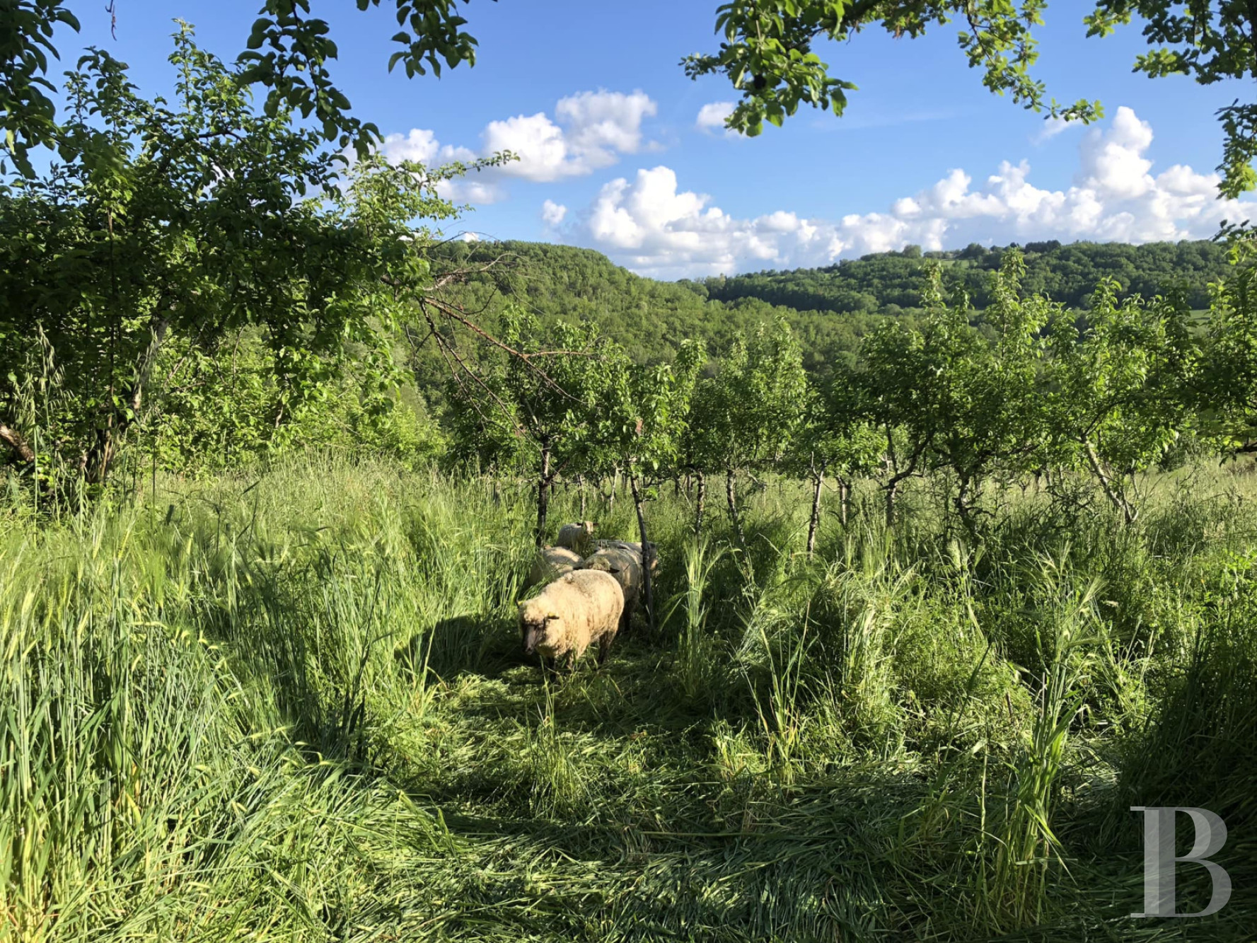 An 18th-century farmhouse converted into a place to stay and holiday north-west of Agen, in the Lot-et-Garonne department - photo  n°6