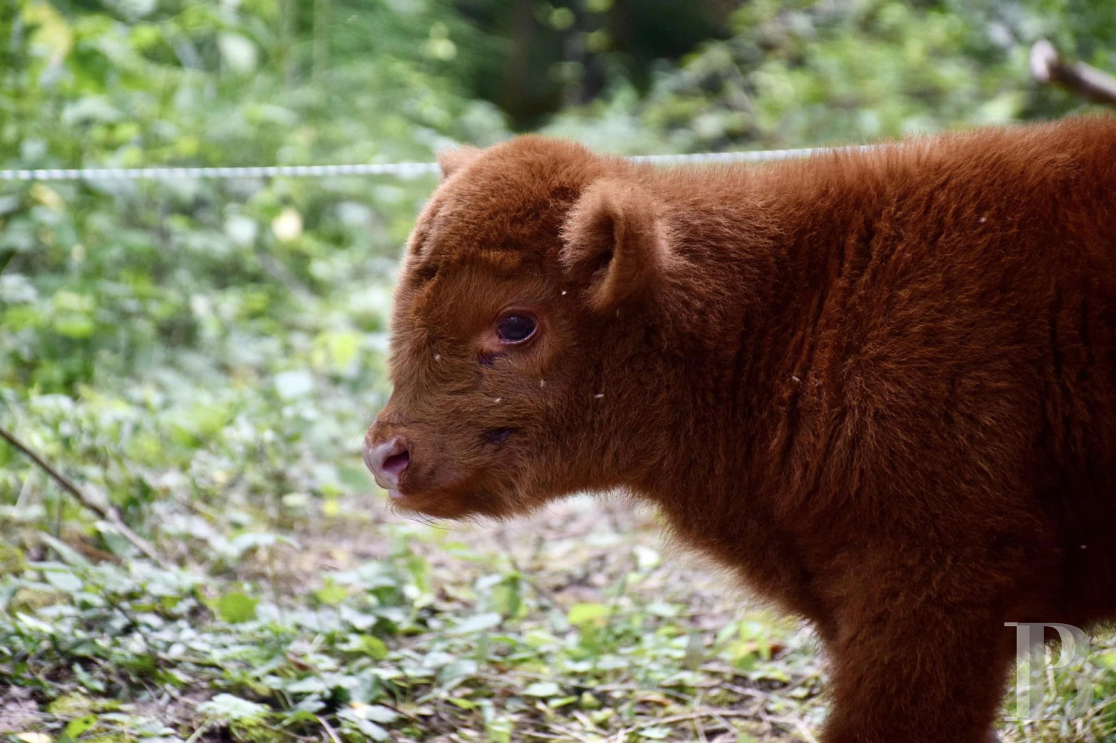 An 18th-century farmhouse converted into a place to stay and holiday north-west of Agen, in the Lot-et-Garonne department - photo  n°30