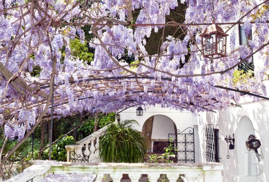 character properties France provence cote dazur   - 5