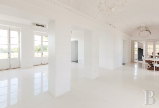 chateaux for sale France burgundy   - 6