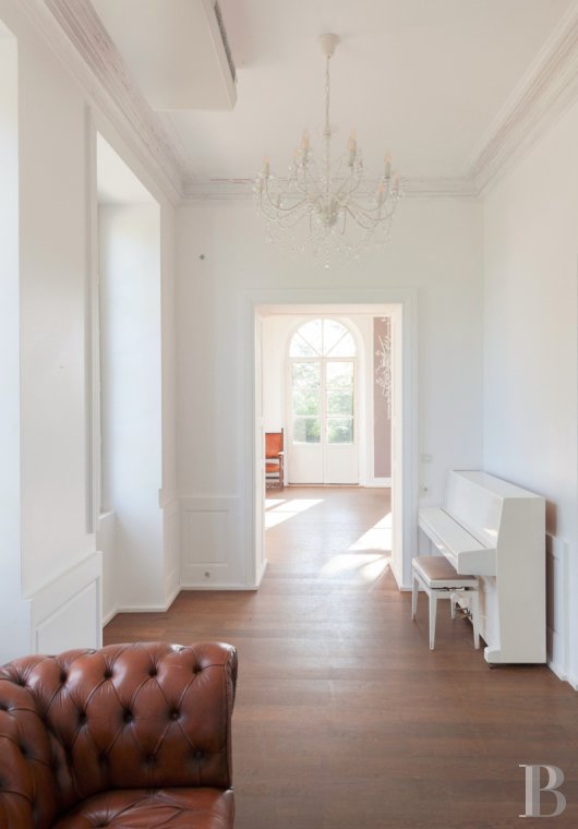 chateaux for sale France burgundy   - 5