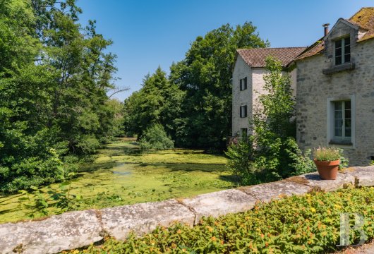mills for sale France ile de france   - 5