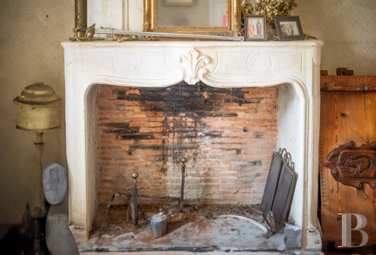 chateaux a vendre midi pyrenees   - 12