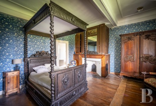 chateaux a vendre midi pyrenees   - 13