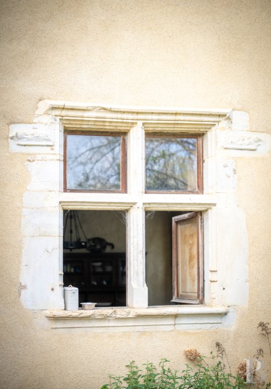 chateaux a vendre midi pyrenees   - 5
