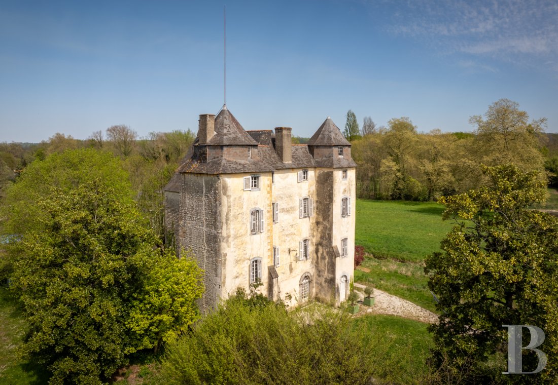 chateaux a vendre midi pyrenees   - 1