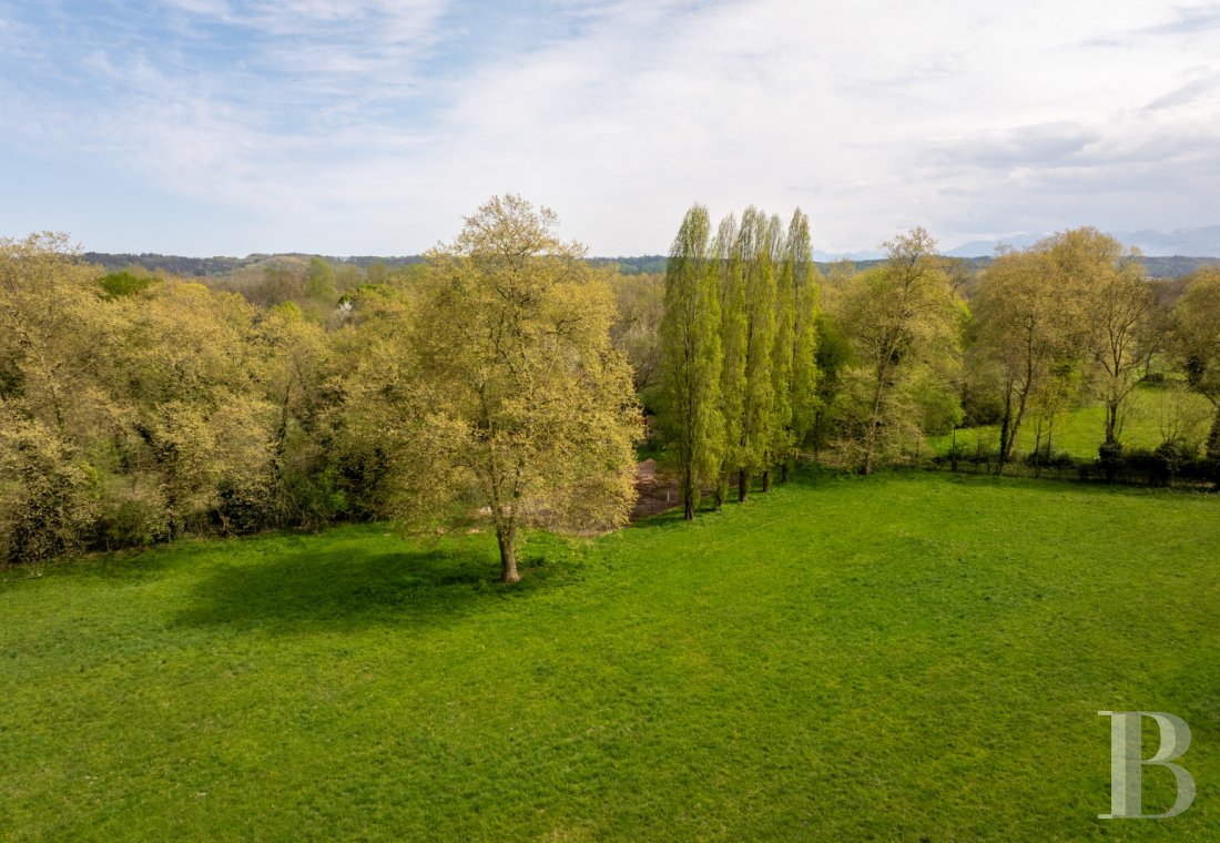chateaux a vendre midi pyrenees   - 19