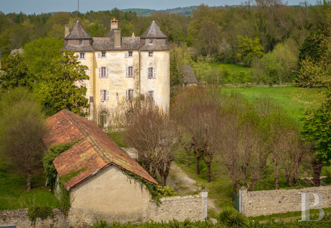 chateaux a vendre midi pyrenees   - 2