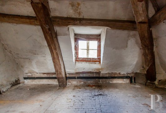 France mansions for sale ile de france   - 11