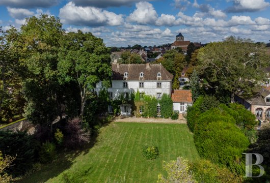 France mansions for sale ile de france   - 3