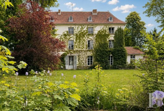 ile-de-france - A grand house steeped in history, nestled in the village of Ozouer-le-Voulgis in France’s Seine-et-Marne department, just 40 minutes from Paris by rail or road