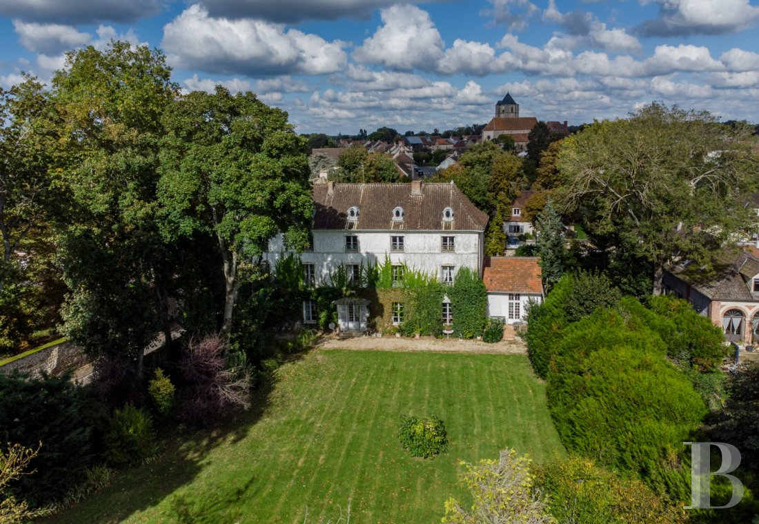 France mansions for sale ile de france   - 3