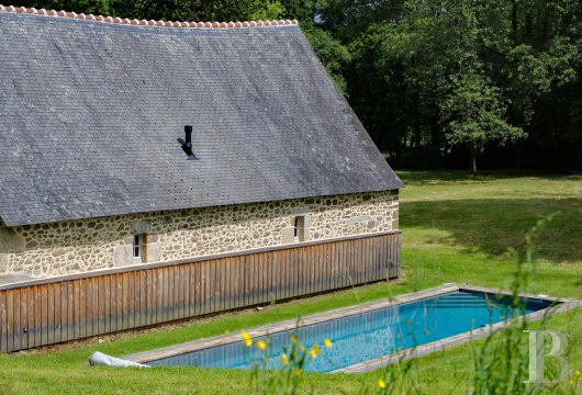 chateaux a vendre pays de loire   - 18