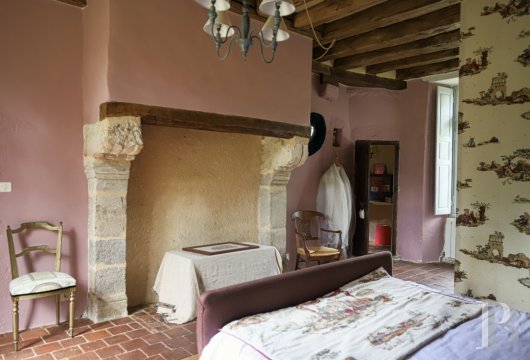 chateaux a vendre pays de loire   - 12