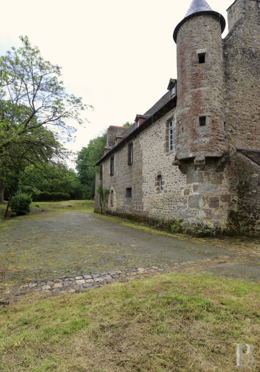 chateaux a vendre pays de loire   - 3