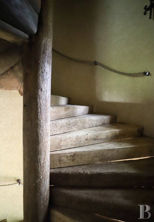 chateaux a vendre pays de loire   - 8