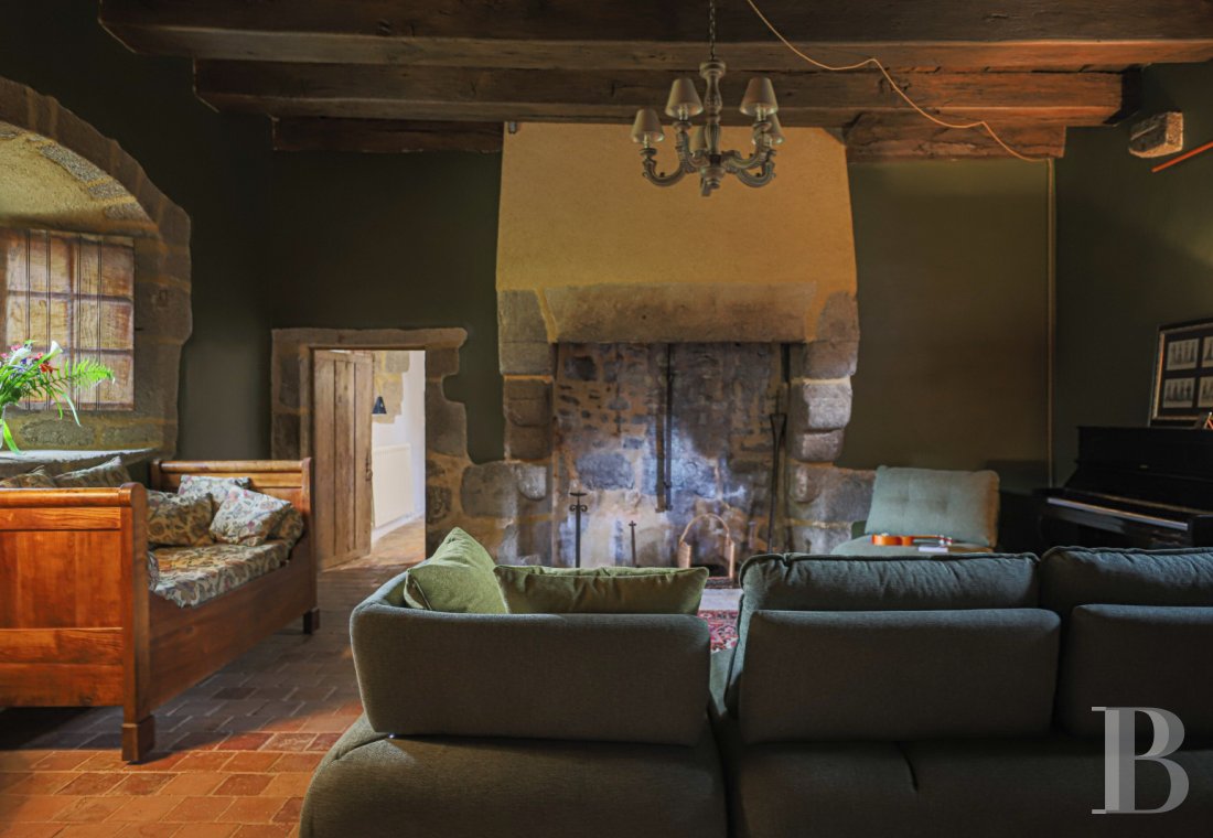 chateaux a vendre pays de loire   - 4