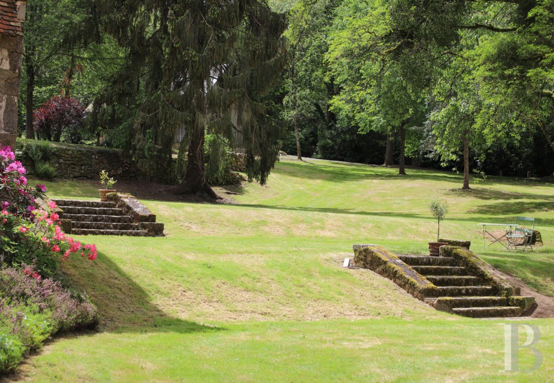 chateaux a vendre pays de loire   - 19