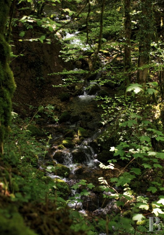 Farms for sale - franche-comte - In the heart of the Jura Mountains and verdant nature,  an old farm, entirely renovated, and its garden