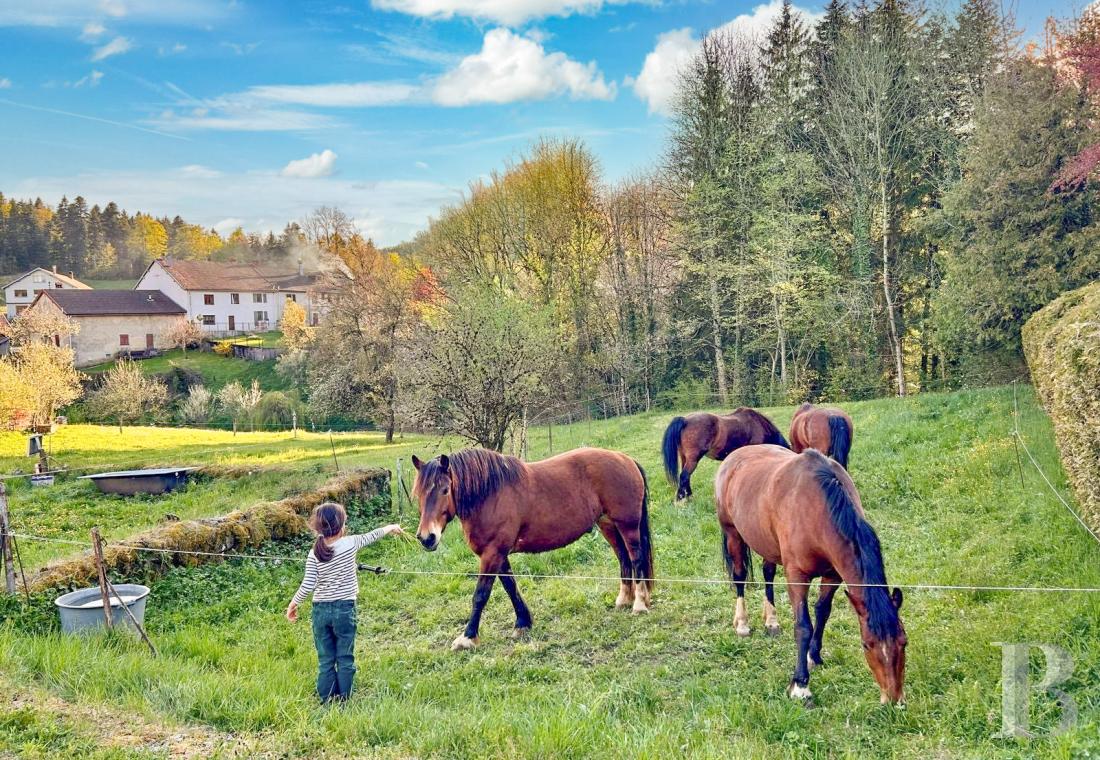 Dans le Haut-Jura, une ancienne ferme du 18e siècle dédiée à la découverte d’une nature préservée - photo  n°17